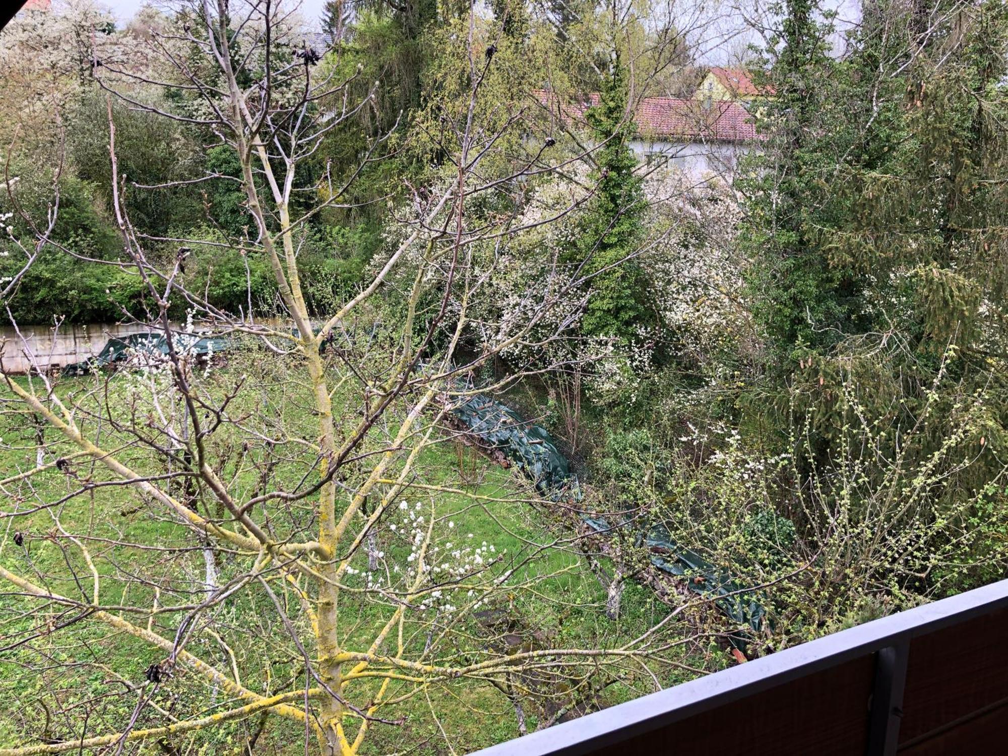 Blaues Zimmer Mit Grossem Balkon, Bad Ist Ein Traum, 50 Schritte Zum Radweg Am Main,Ideal For Short Stay Mainstockheim Exterior photo